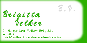 brigitta velker business card